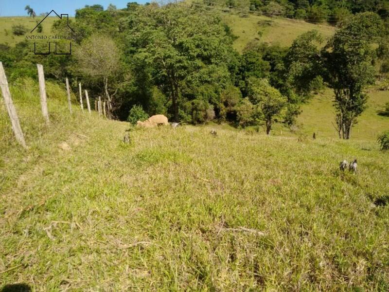 Fazenda à venda com 2 quartos, 75m² - Foto 5