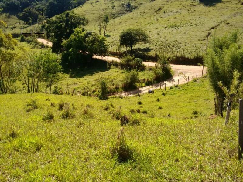 Fazenda à venda com 2 quartos, 75m² - Foto 9