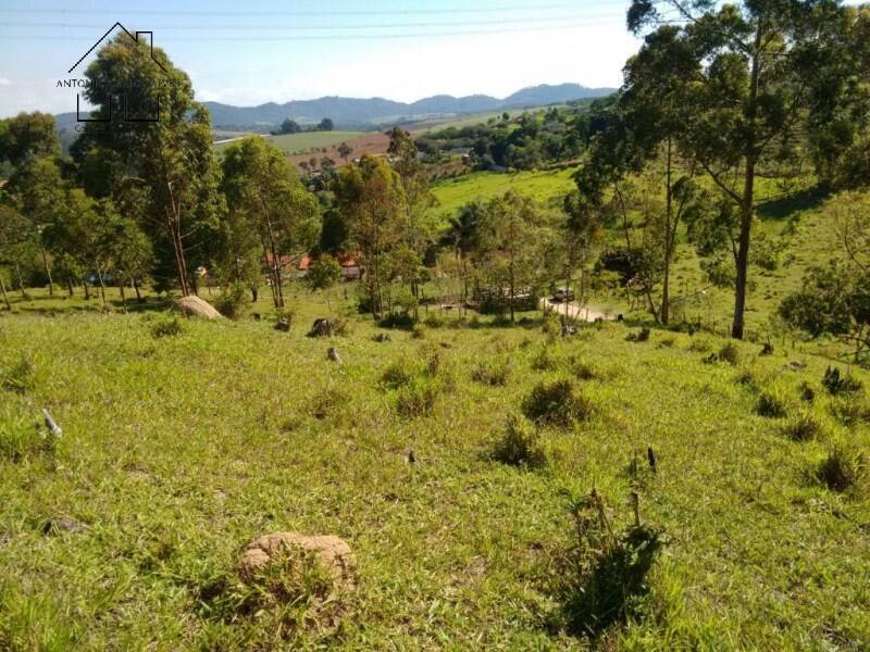 Fazenda à venda com 2 quartos, 75m² - Foto 7