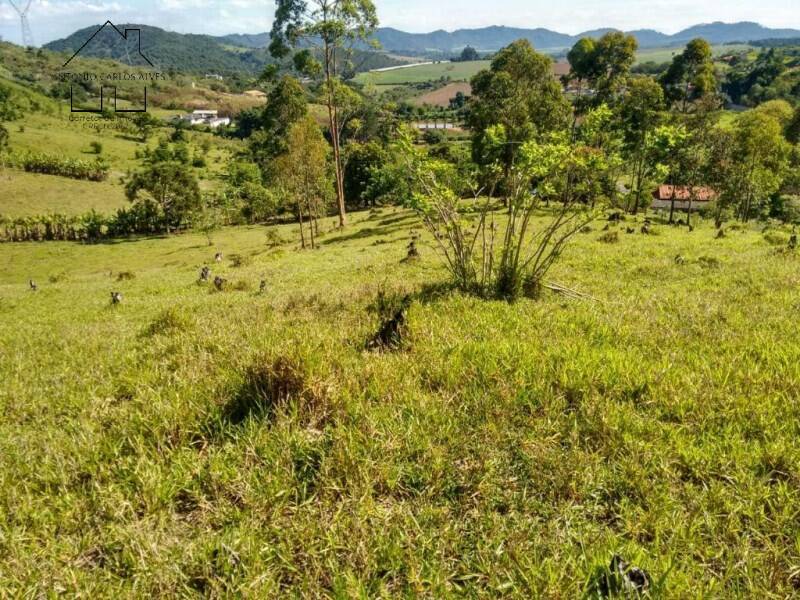 Fazenda à venda com 2 quartos, 75m² - Foto 14