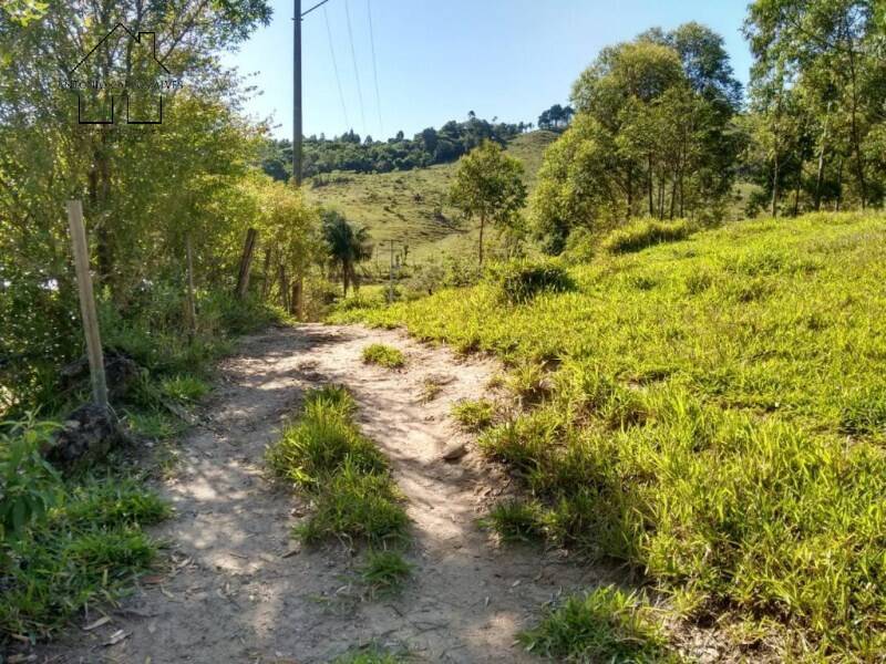 Fazenda à venda com 2 quartos, 75m² - Foto 13