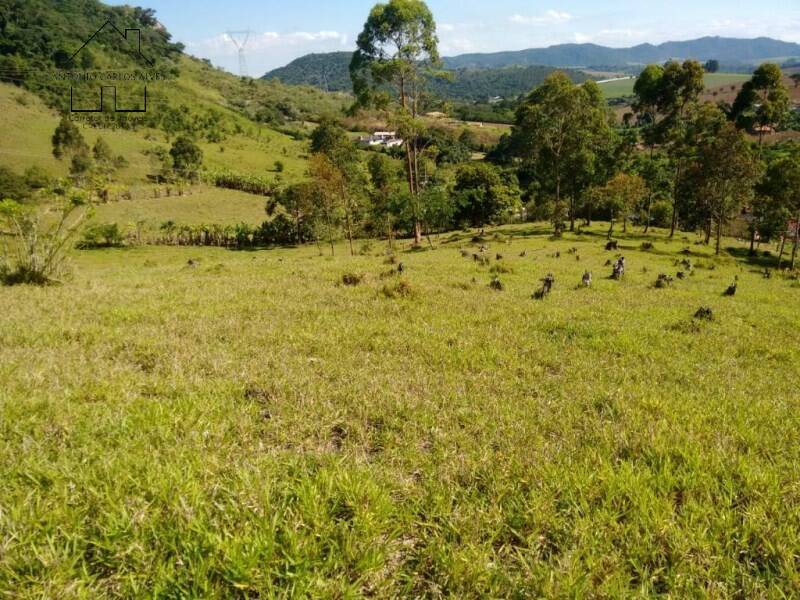 Fazenda à venda com 2 quartos, 75m² - Foto 18