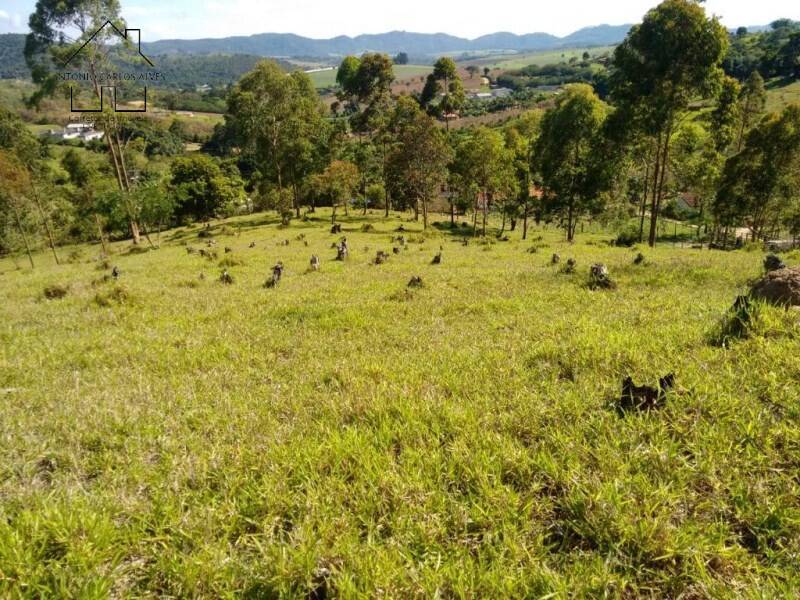 Fazenda à venda com 2 quartos, 75m² - Foto 20