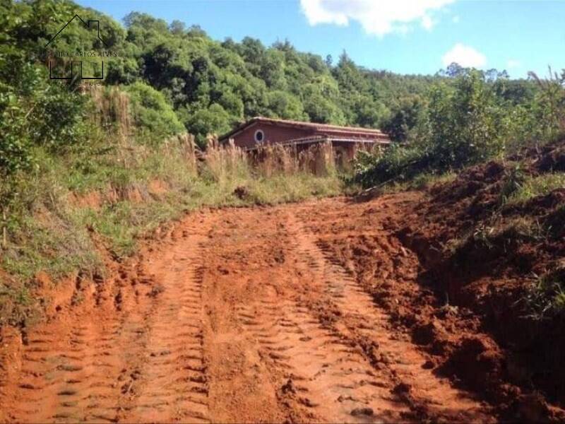 Fazenda à venda com 3 quartos, 350m² - Foto 49