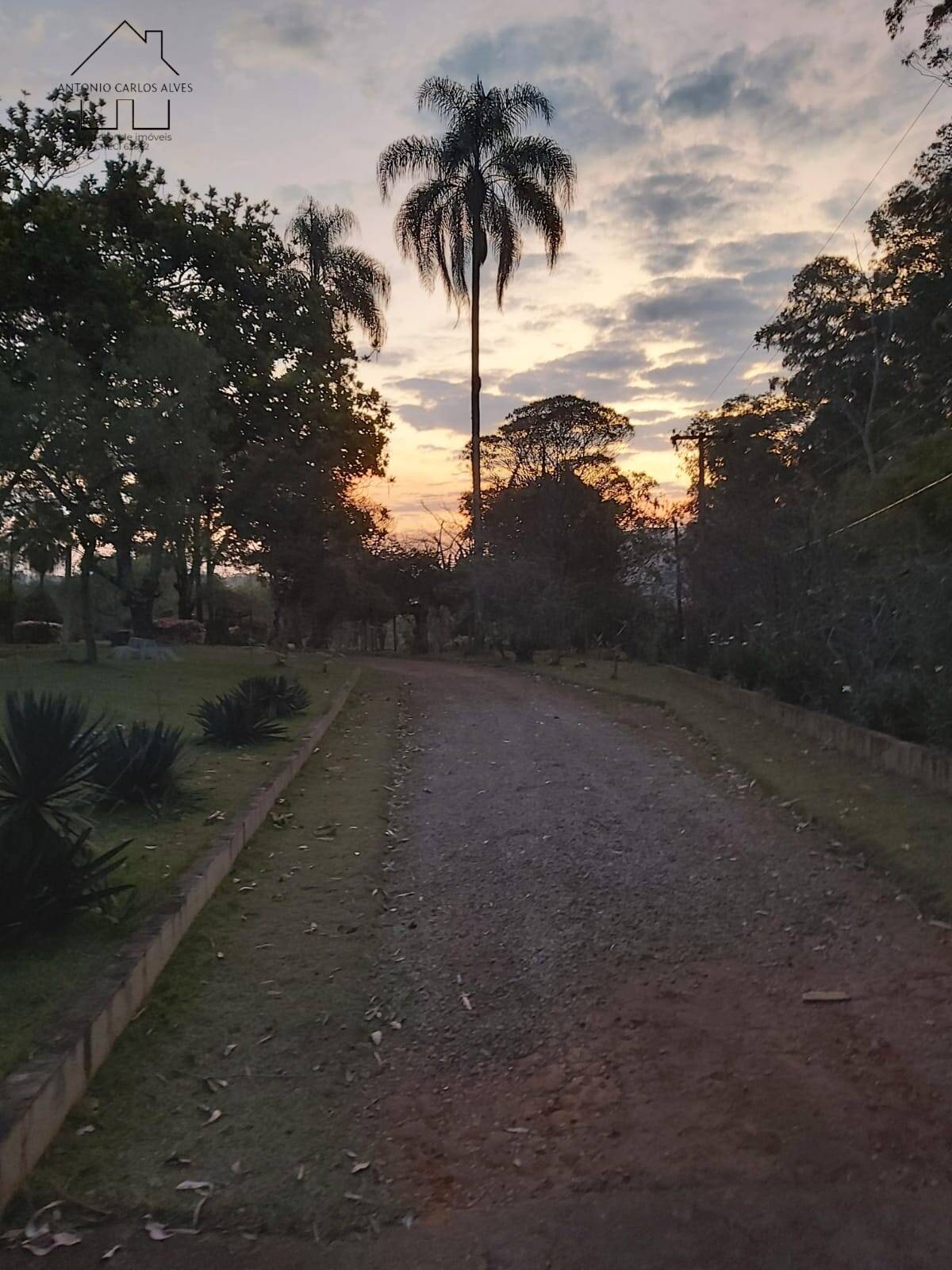 Fazenda à venda com 6 quartos, 400m² - Foto 8