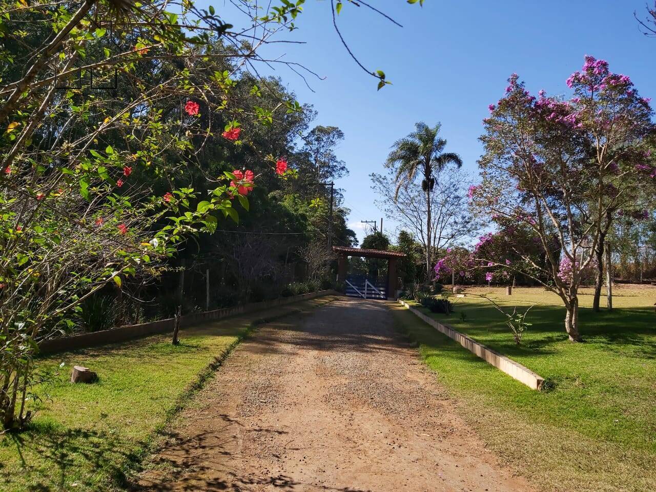 Fazenda à venda com 6 quartos, 400m² - Foto 9