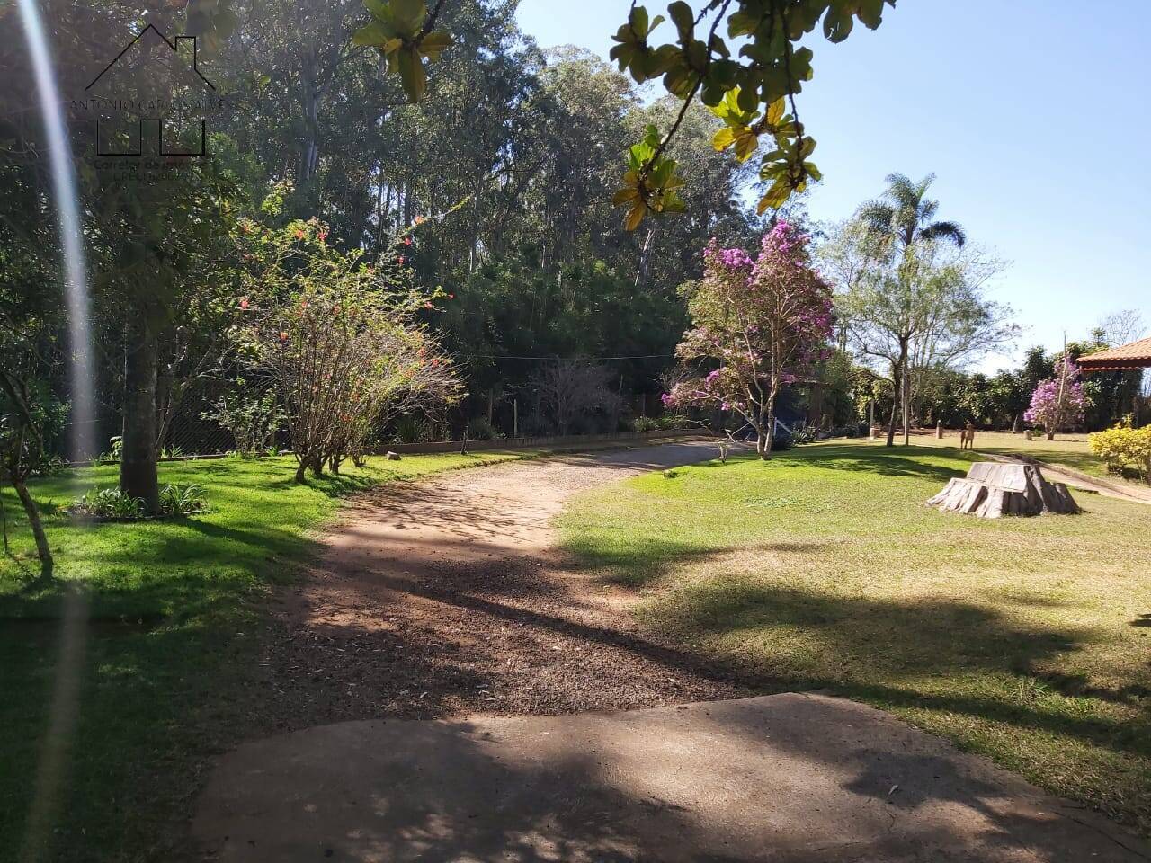 Fazenda à venda com 6 quartos, 400m² - Foto 11