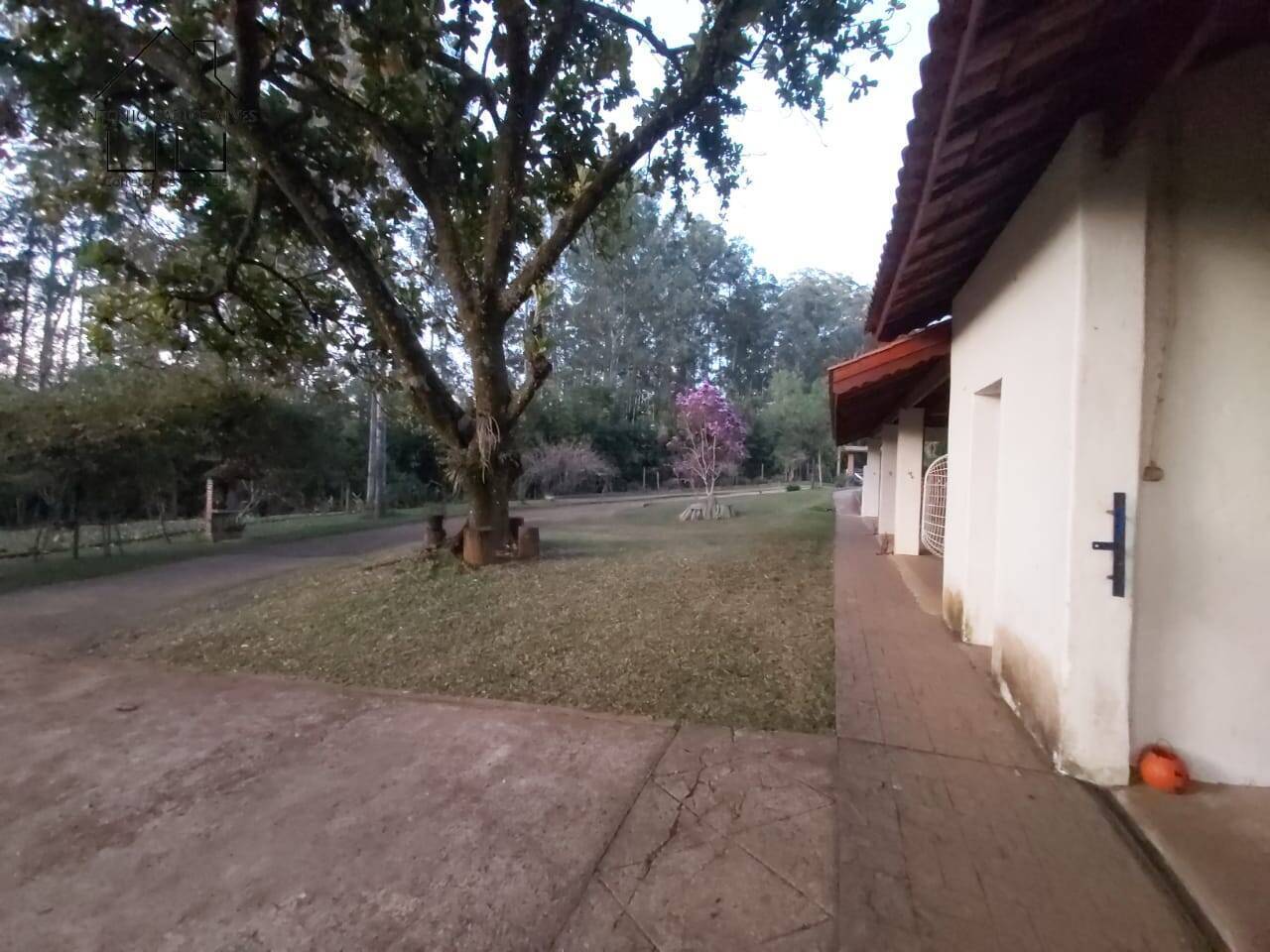 Fazenda à venda com 6 quartos, 400m² - Foto 30