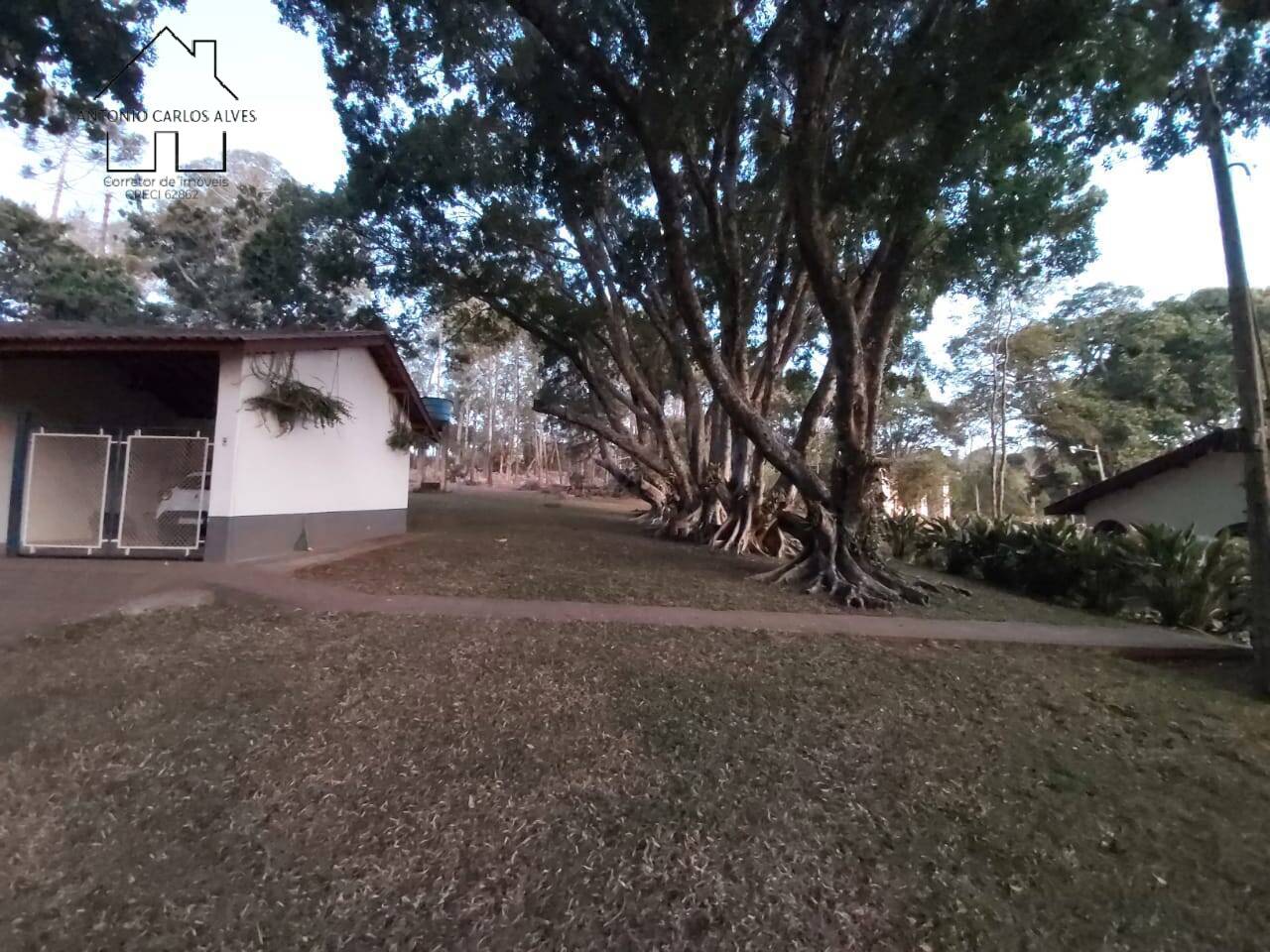 Fazenda à venda com 6 quartos, 400m² - Foto 28