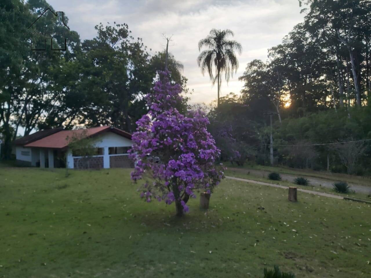 Fazenda à venda com 6 quartos, 400m² - Foto 31