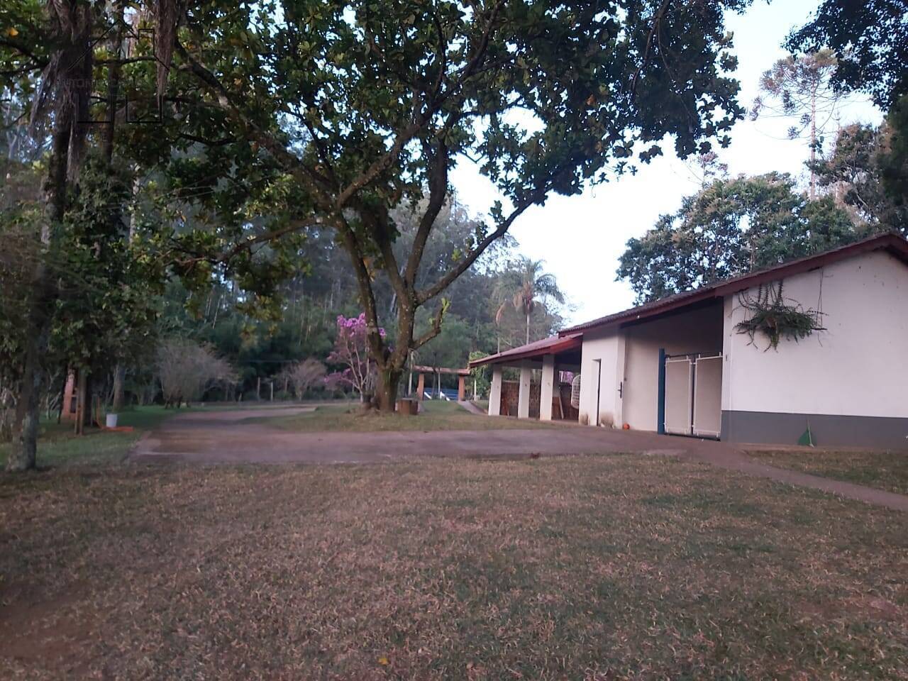 Fazenda à venda com 6 quartos, 400m² - Foto 29