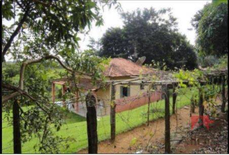 Fazenda à venda com 4 quartos, 850m² - Foto 4