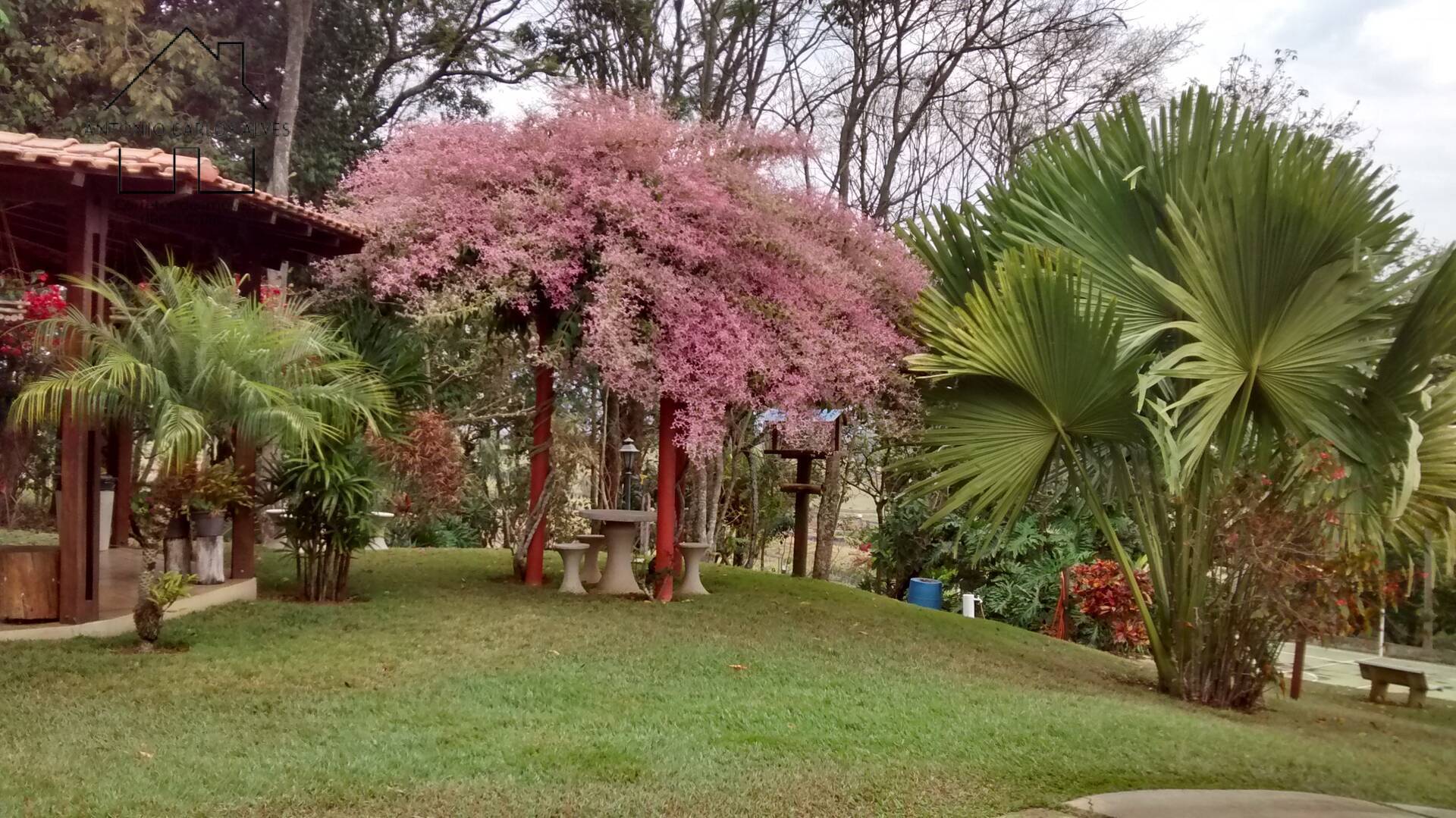 Fazenda à venda com 4 quartos, 850m² - Foto 30