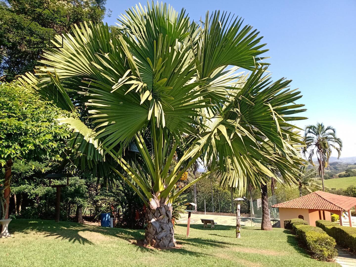 Fazenda à venda com 4 quartos, 850m² - Foto 32