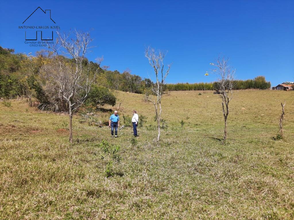 Terreno à venda, 21406m² - Foto 5