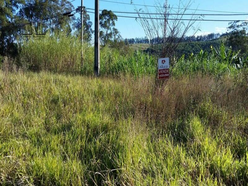 Terreno à venda, 2944m² - Foto 7