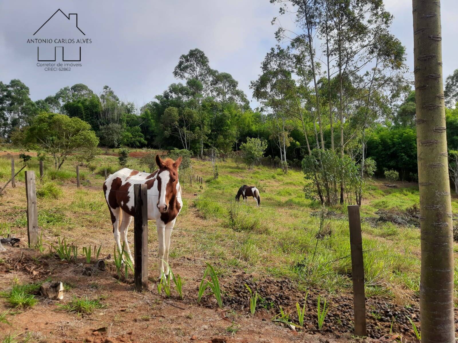 Terreno à venda, 70m² - Foto 23