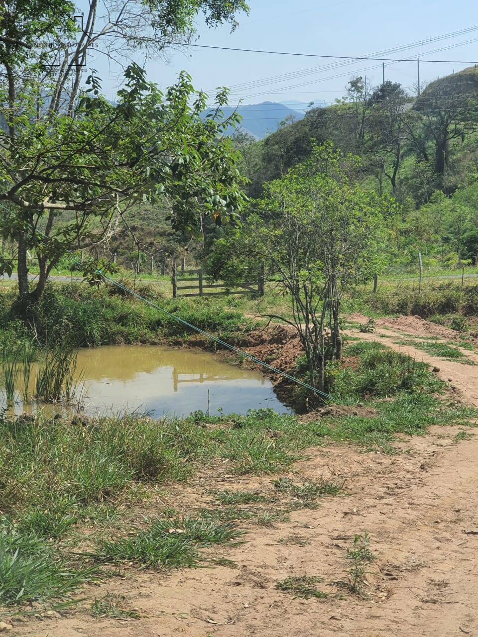 Terreno à venda, 20000m² - Foto 4