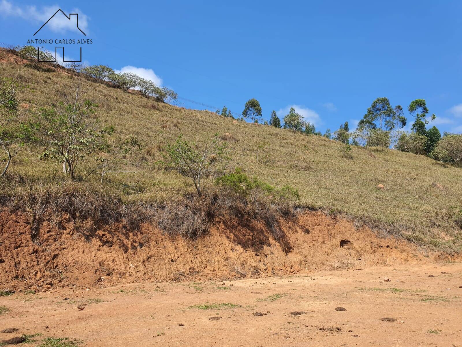 Terreno à venda, 20000m² - Foto 17