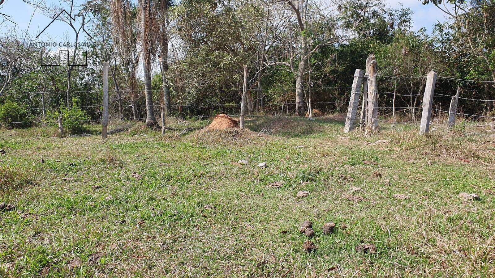 Terreno à venda, 20000m² - Foto 27