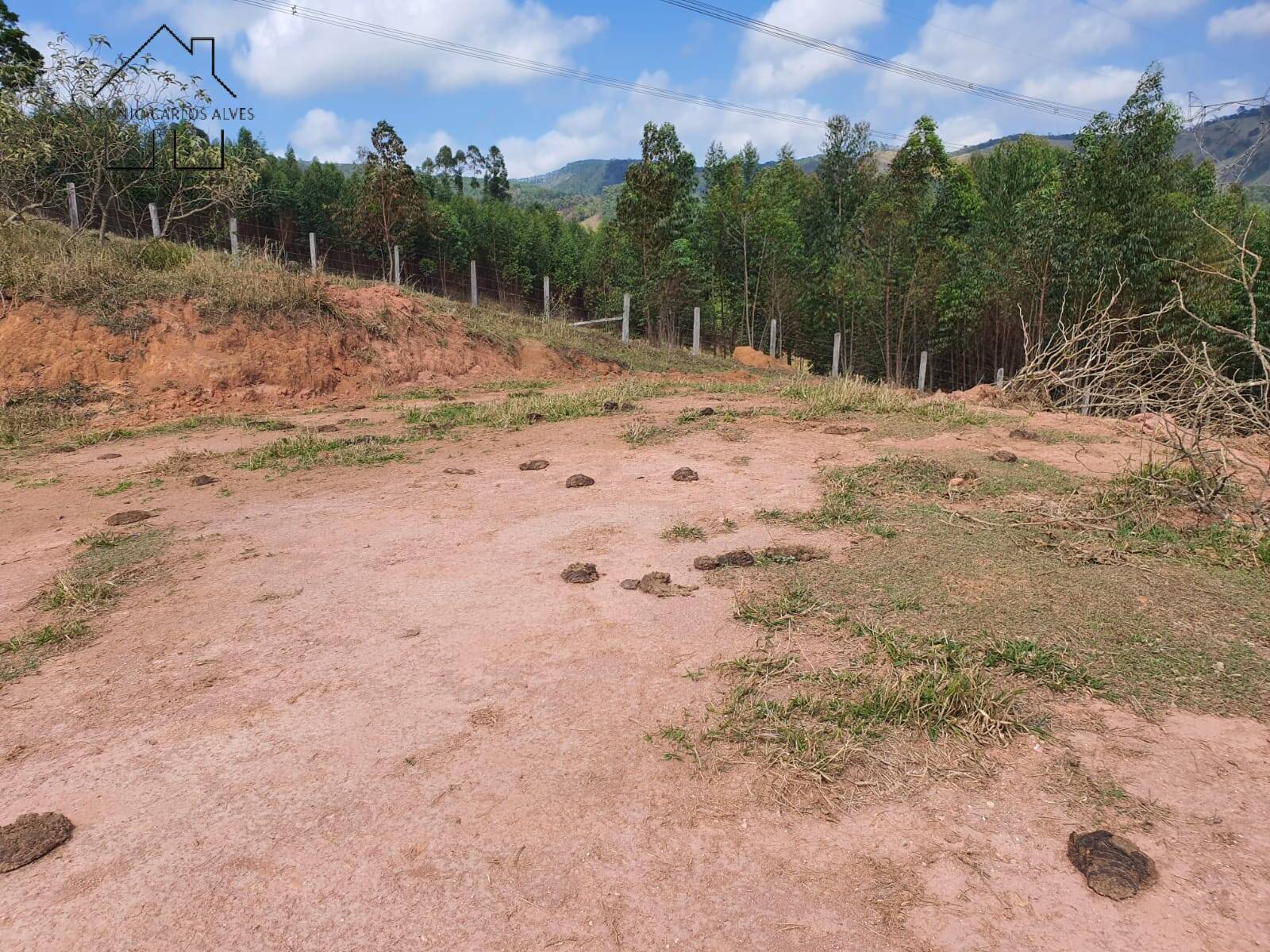 Terreno à venda, 20000m² - Foto 32