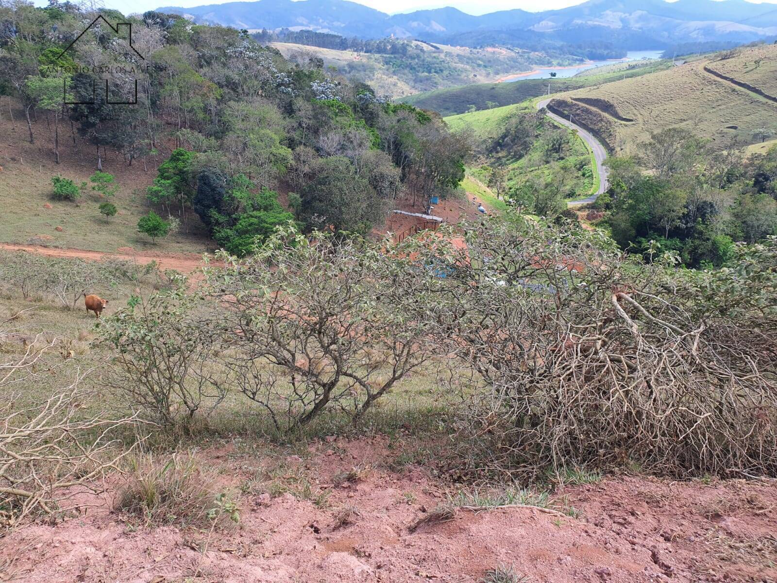 Terreno à venda, 20000m² - Foto 34