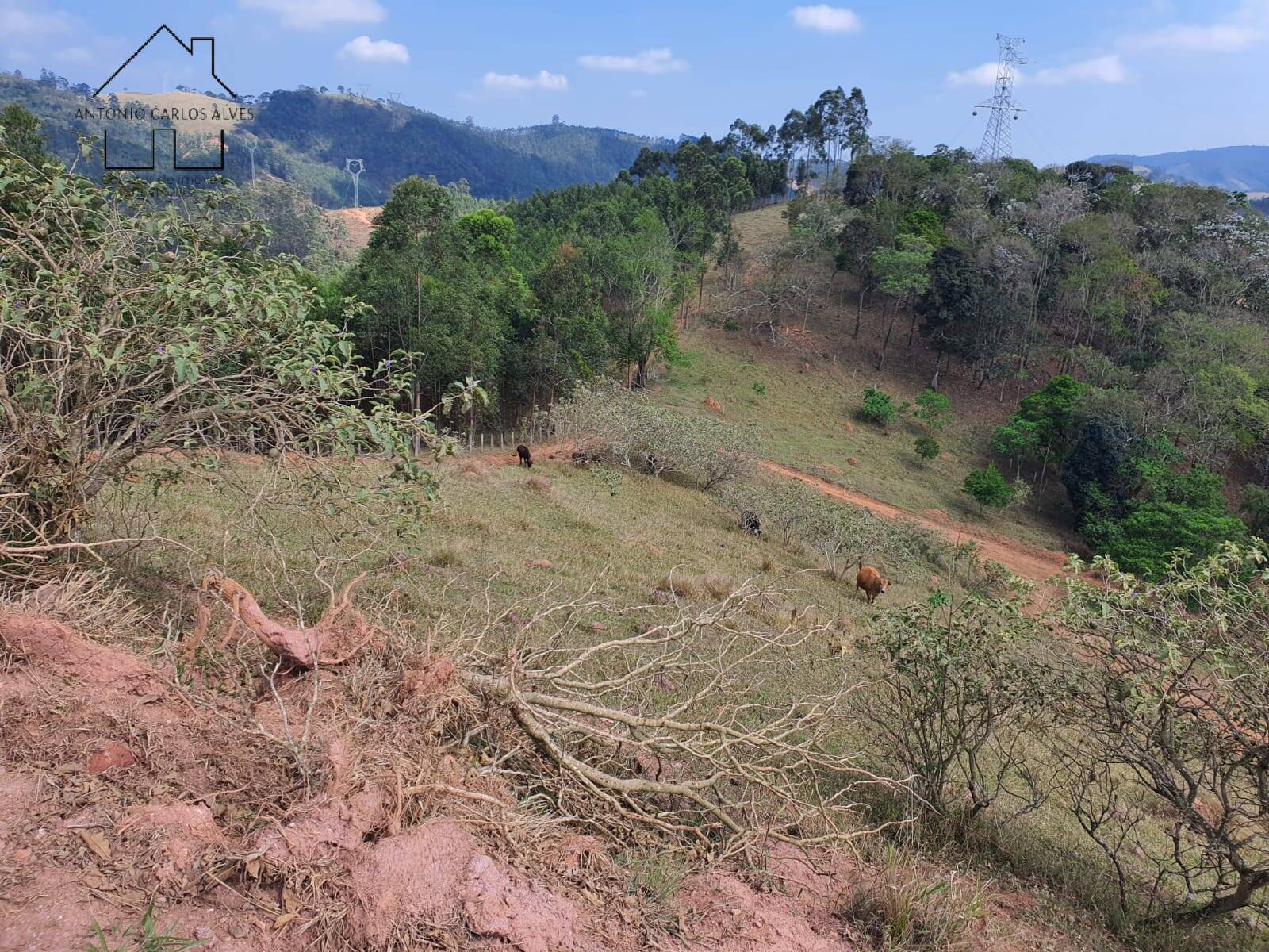 Terreno à venda, 20000m² - Foto 48