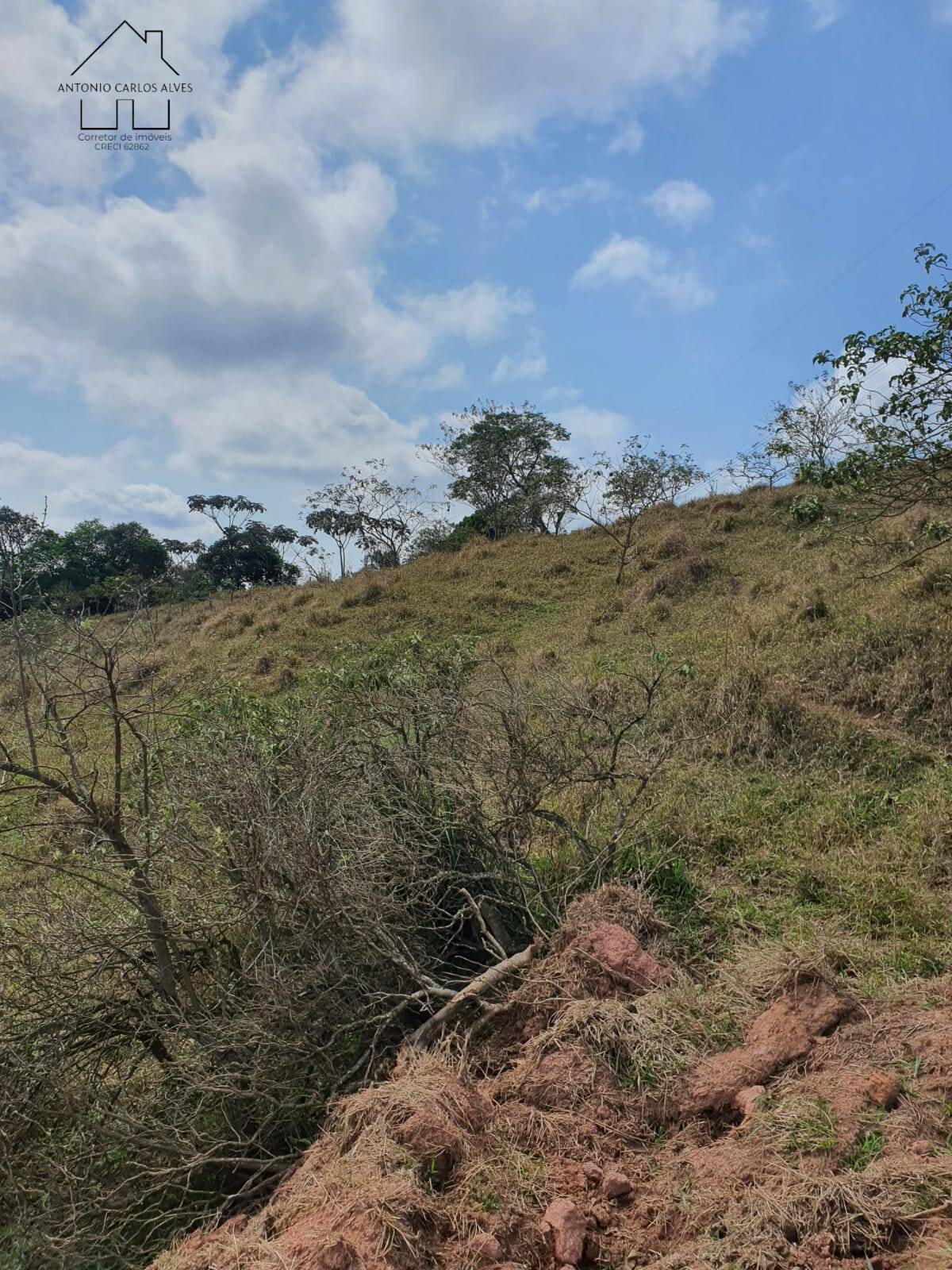 Terreno à venda, 20000m² - Foto 47