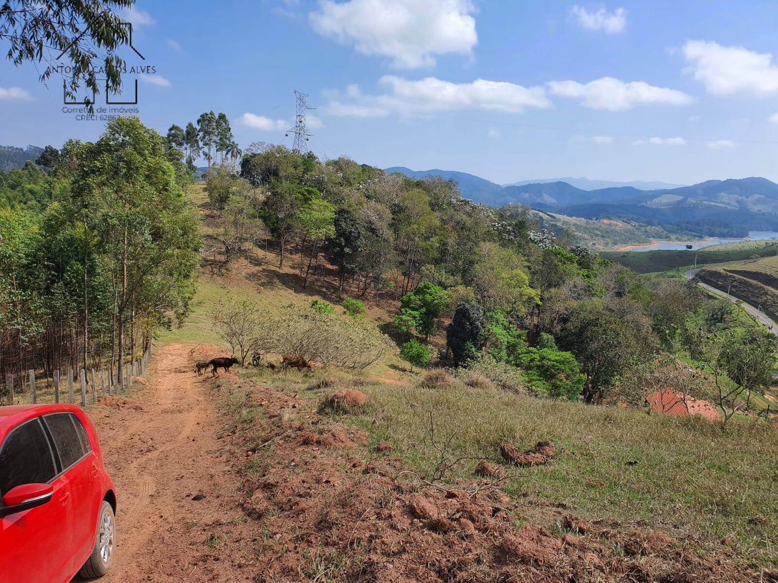 Terreno à venda, 20000m² - Foto 53