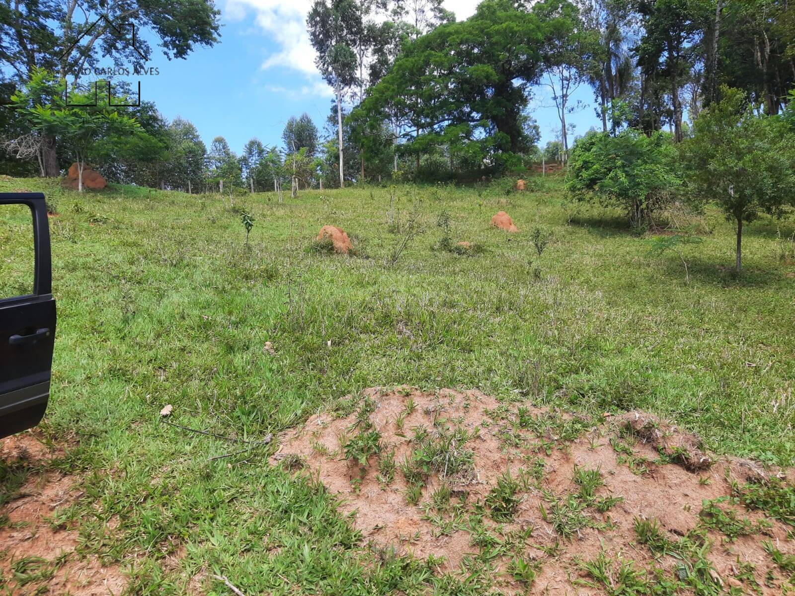 Terreno à venda, 20000m² - Foto 54