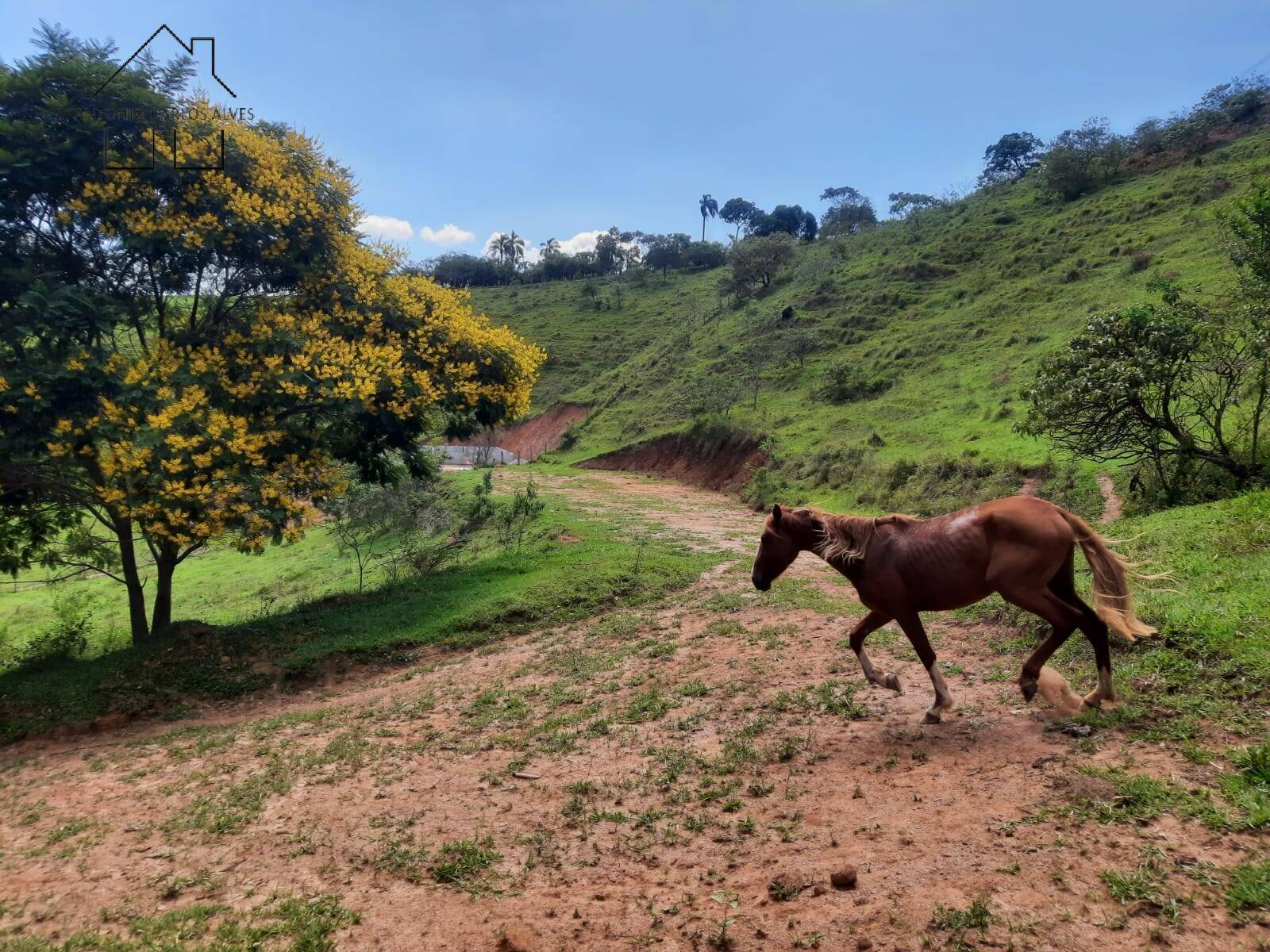 Terreno à venda, 20000m² - Foto 58