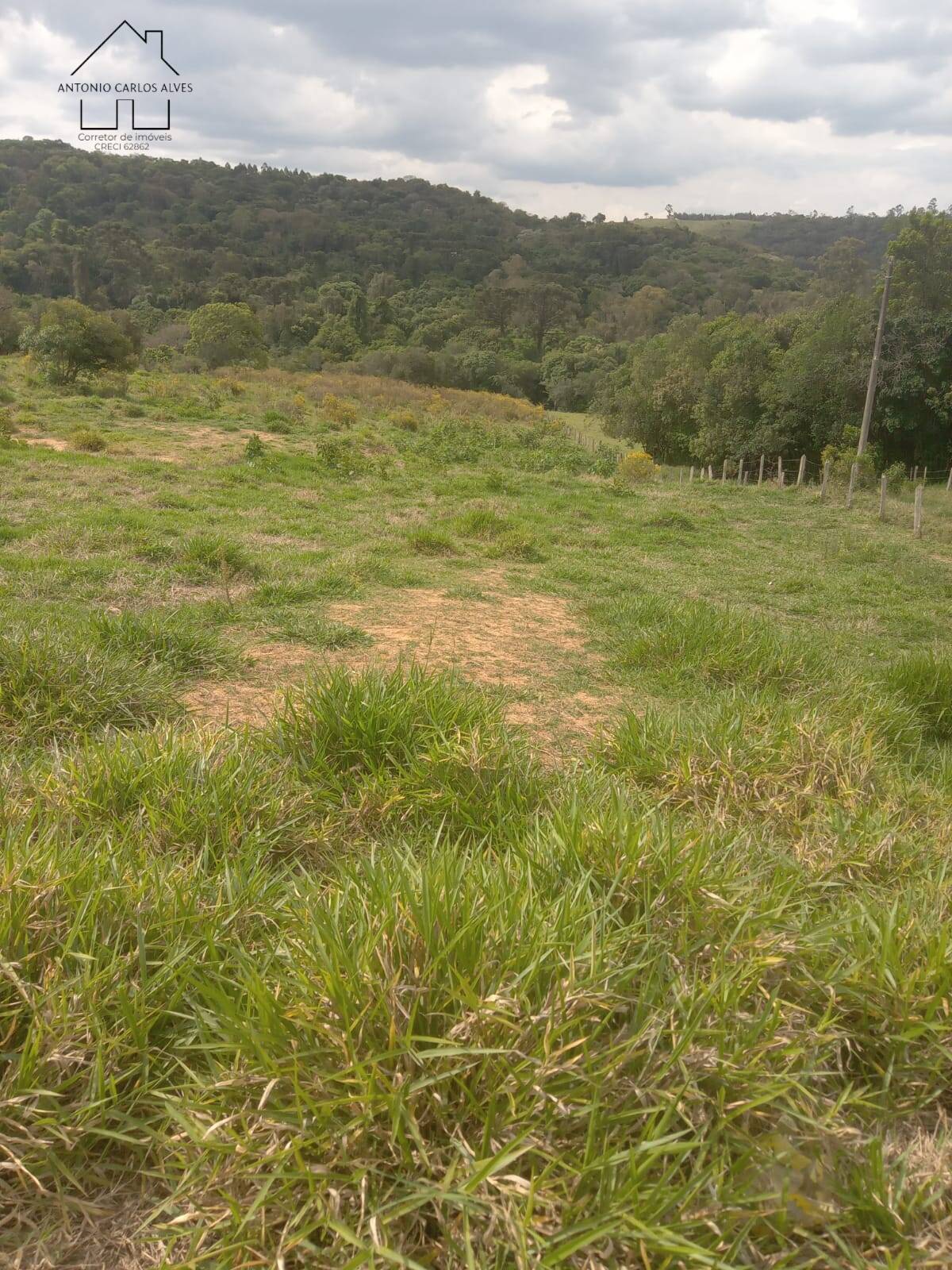 Terreno à venda, 8000m² - Foto 1