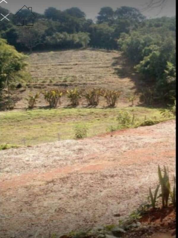 Terreno à venda, 3000m² - Foto 3