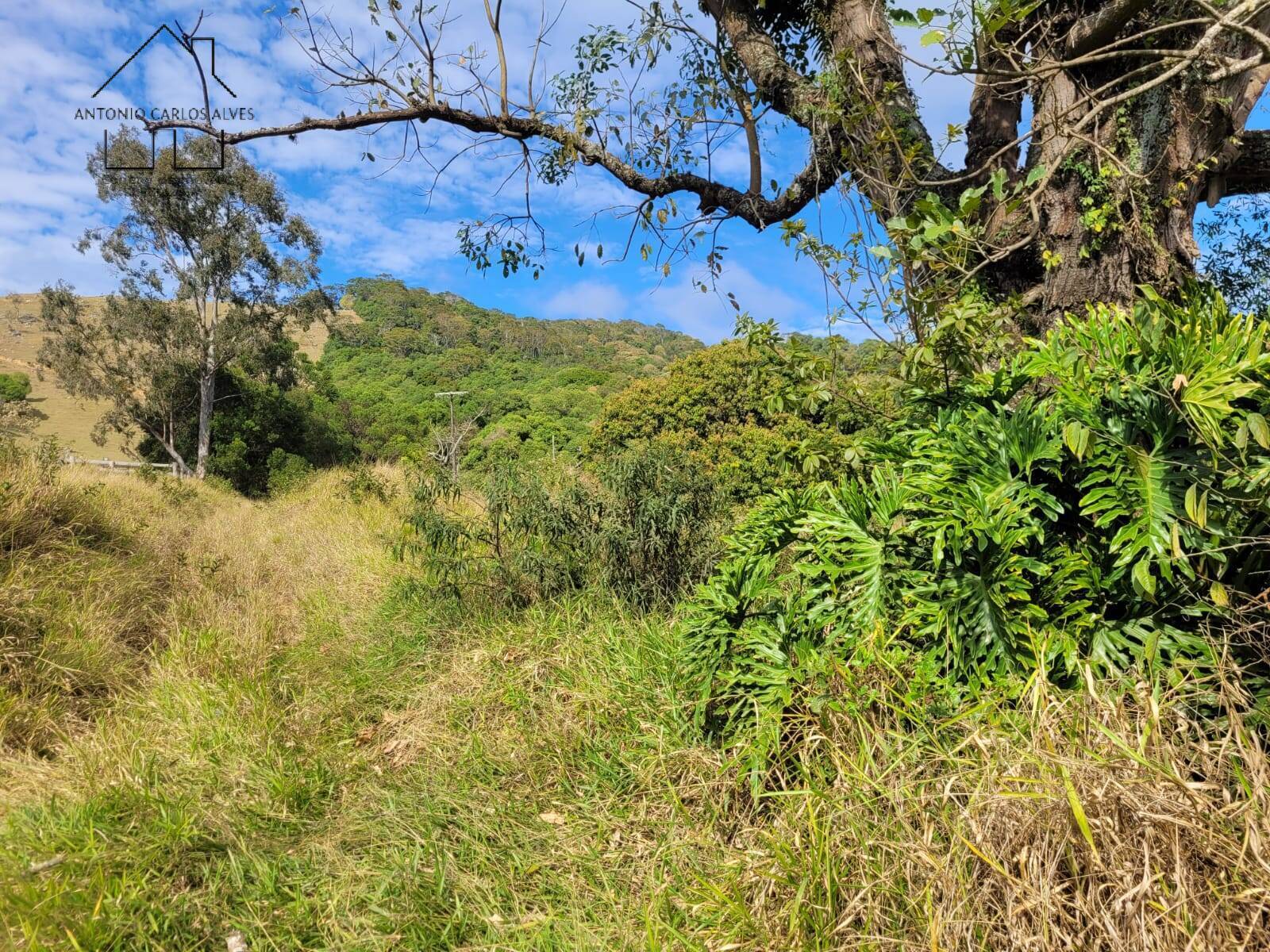 Fazenda à venda com 3 quartos, 350m² - Foto 50