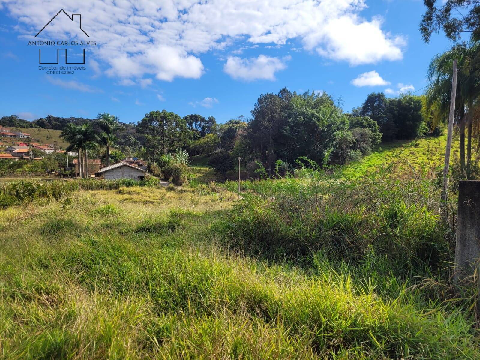 Fazenda à venda com 3 quartos, 350m² - Foto 53