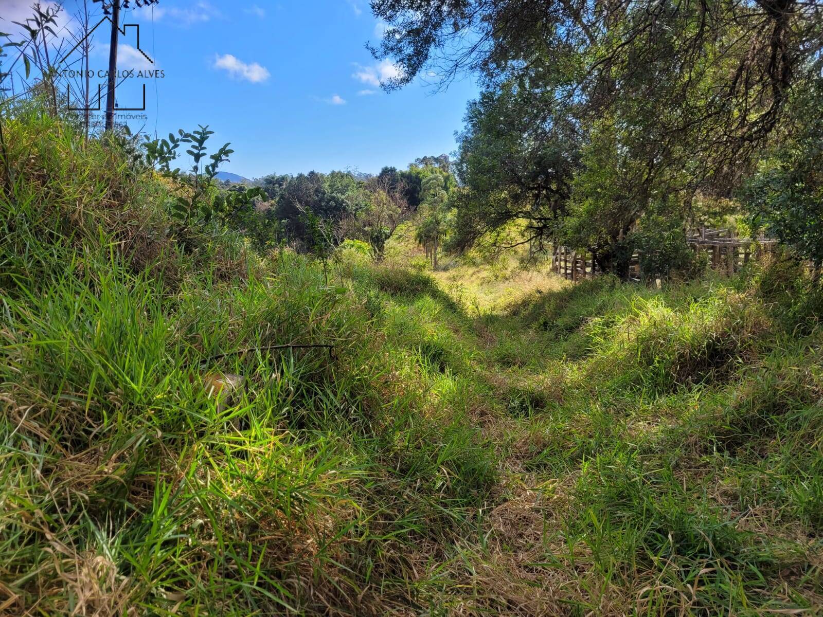 Fazenda à venda com 3 quartos, 350m² - Foto 54