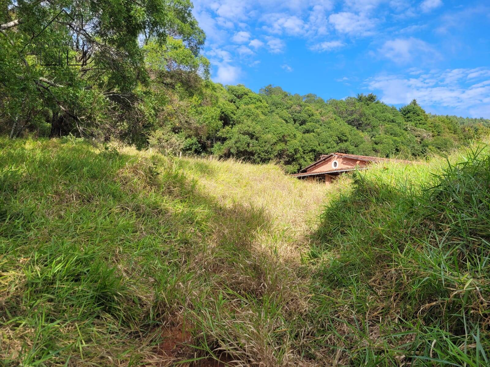 Fazenda à venda com 3 quartos, 350m² - Foto 55