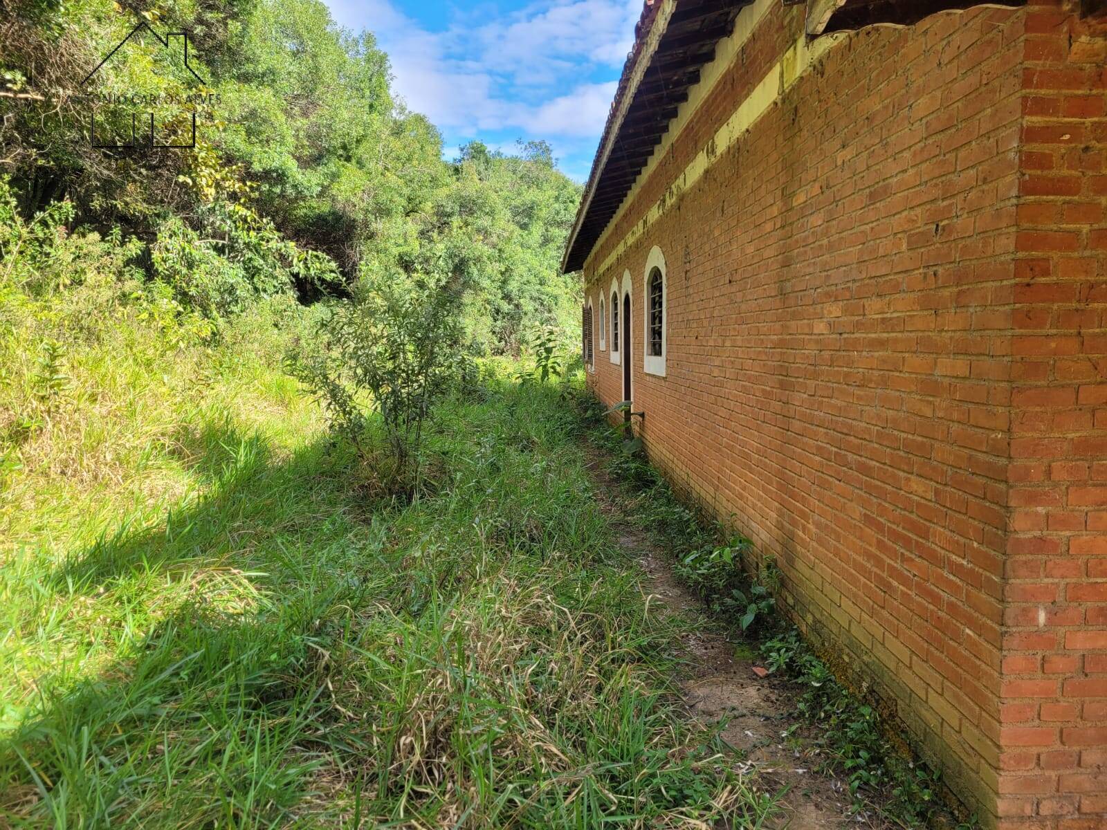 Fazenda à venda com 3 quartos, 350m² - Foto 11