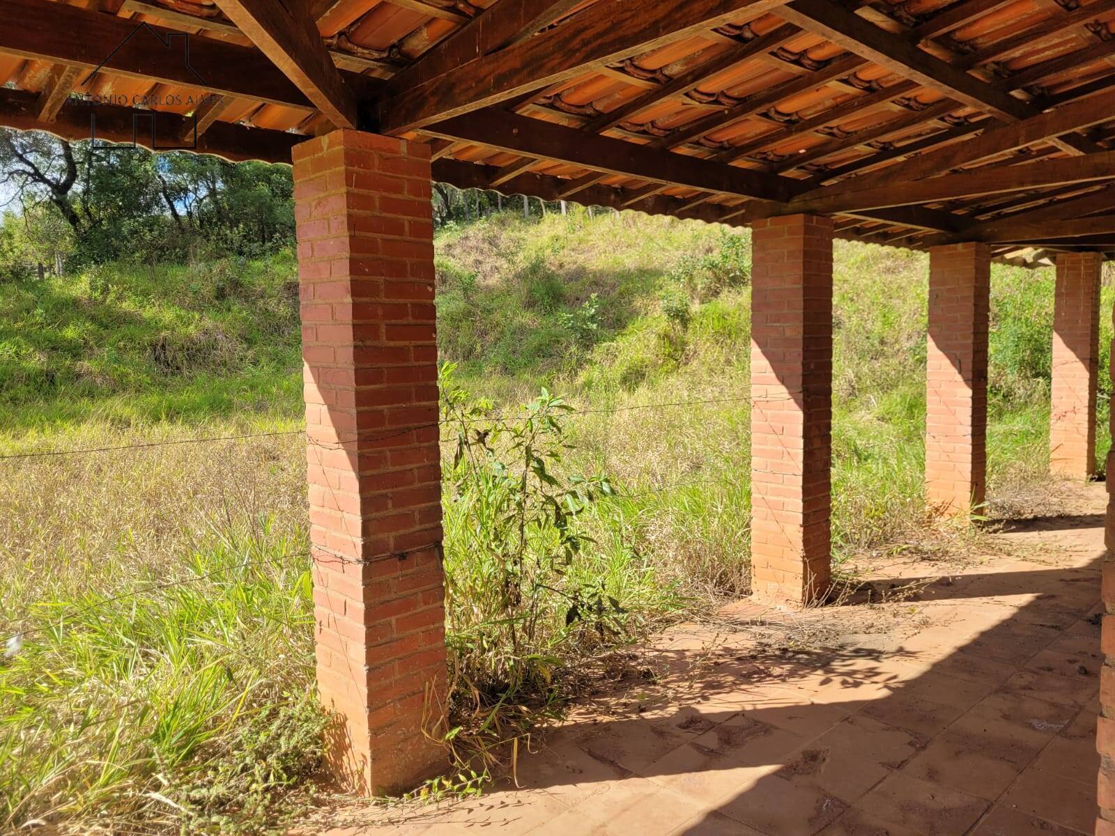 Fazenda à venda com 3 quartos, 350m² - Foto 14