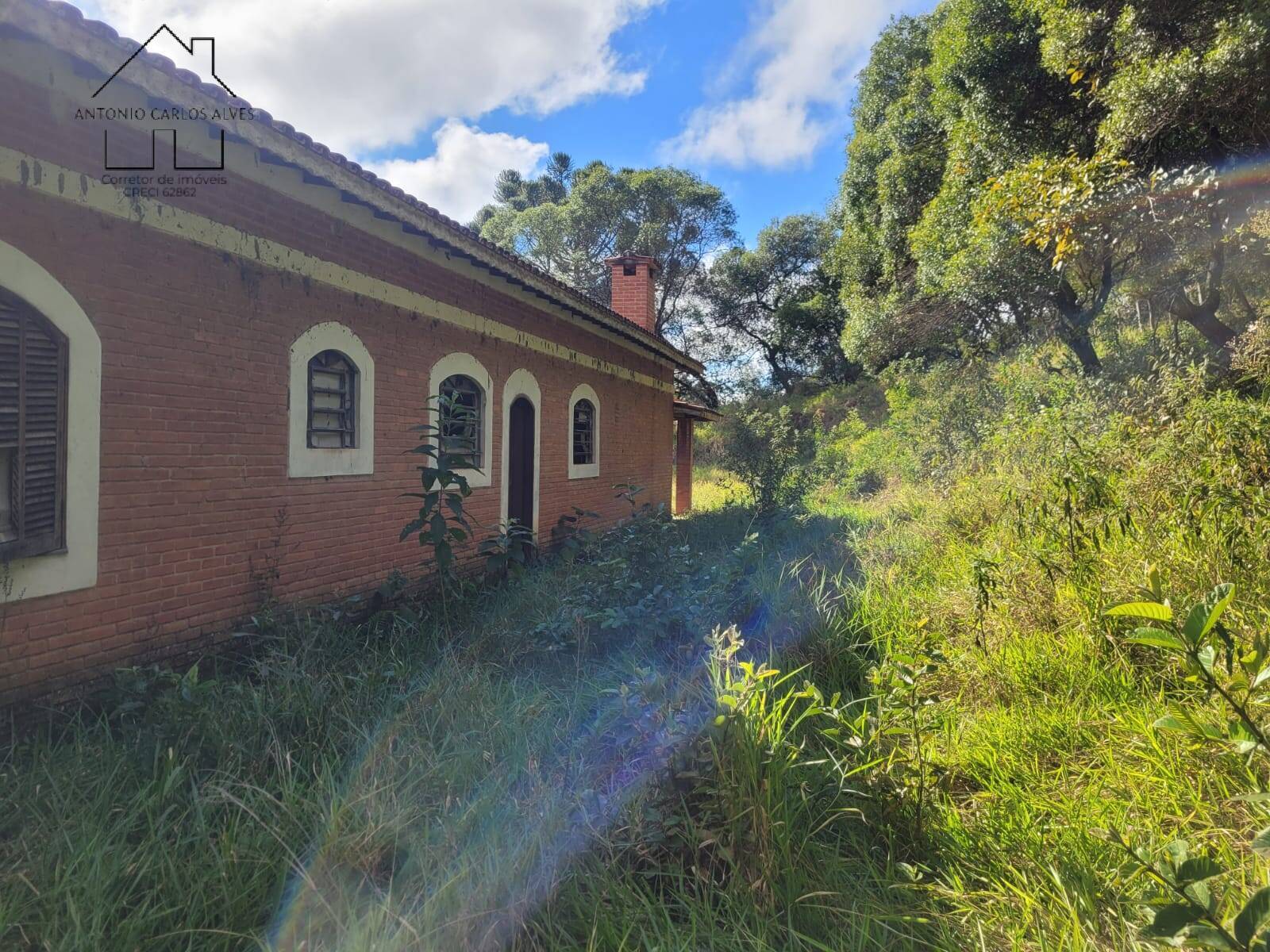 Fazenda à venda com 3 quartos, 350m² - Foto 13