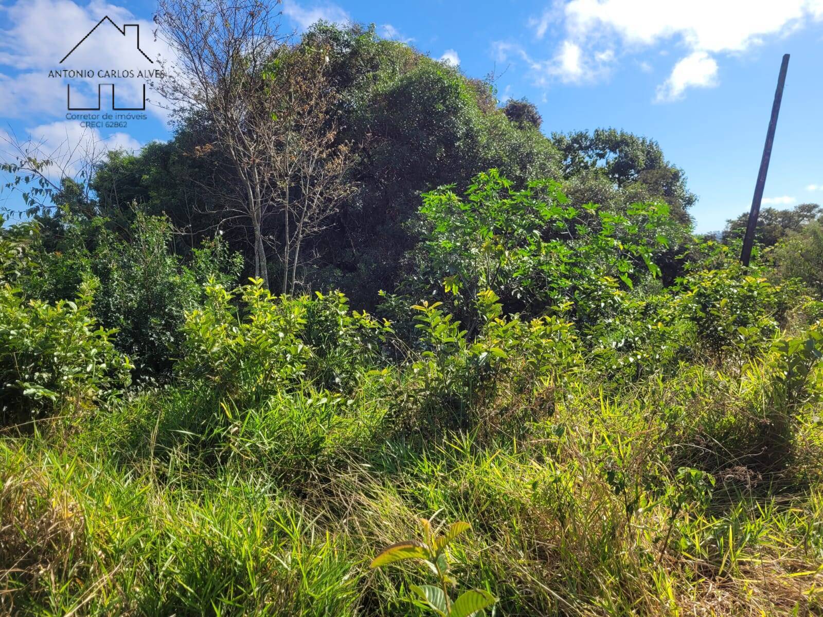 Fazenda à venda com 3 quartos, 350m² - Foto 56