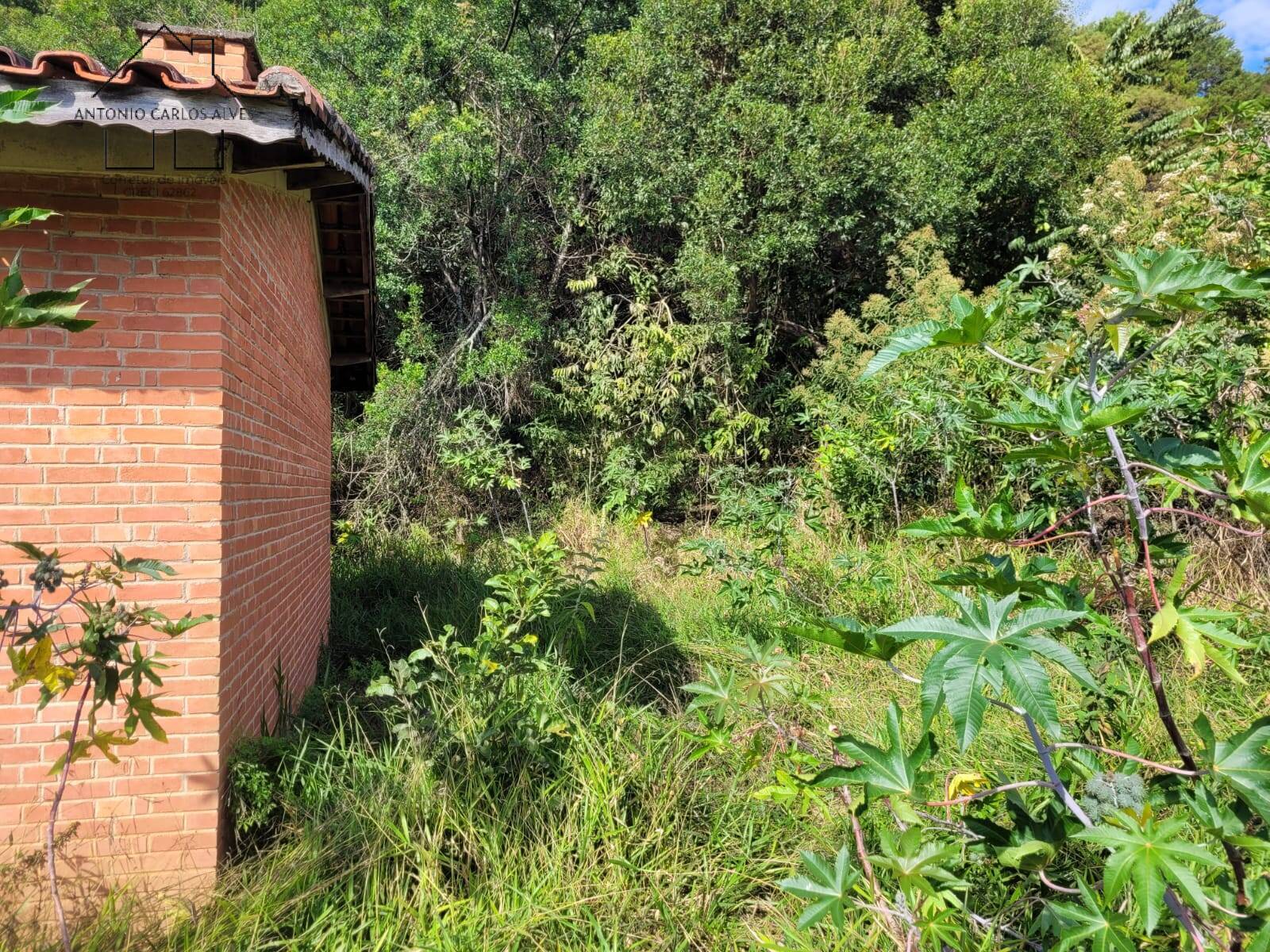 Fazenda à venda com 3 quartos, 350m² - Foto 45