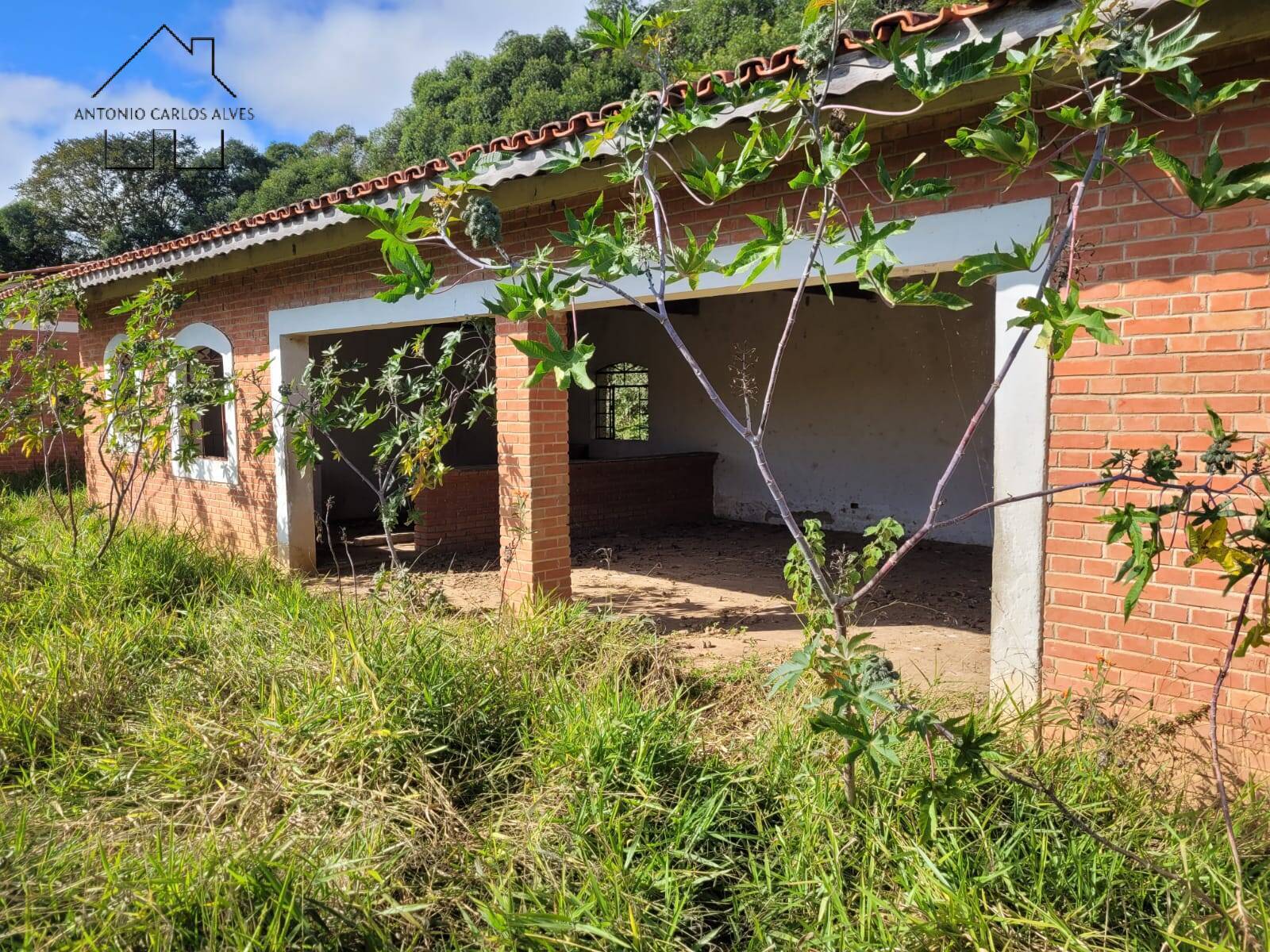 Fazenda à venda com 3 quartos, 350m² - Foto 37