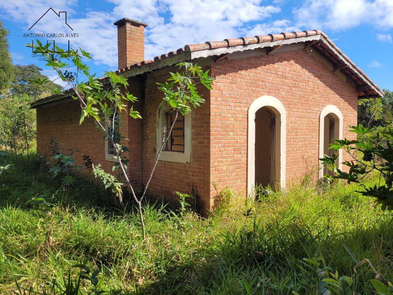 Fazenda à venda com 3 quartos, 350m² - Foto 36