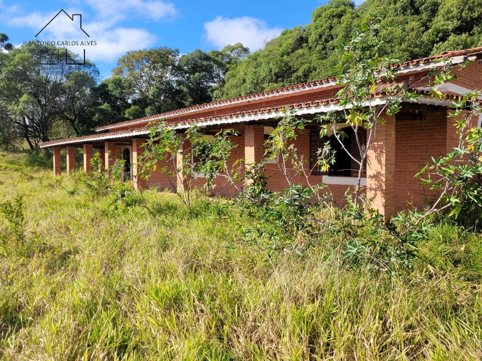 Fazenda à venda com 3 quartos, 350m² - Foto 9