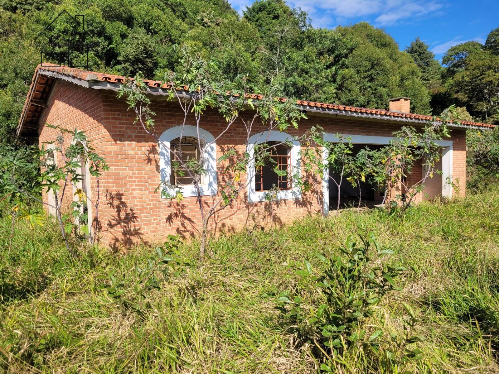 Fazenda à venda com 3 quartos, 350m² - Foto 38