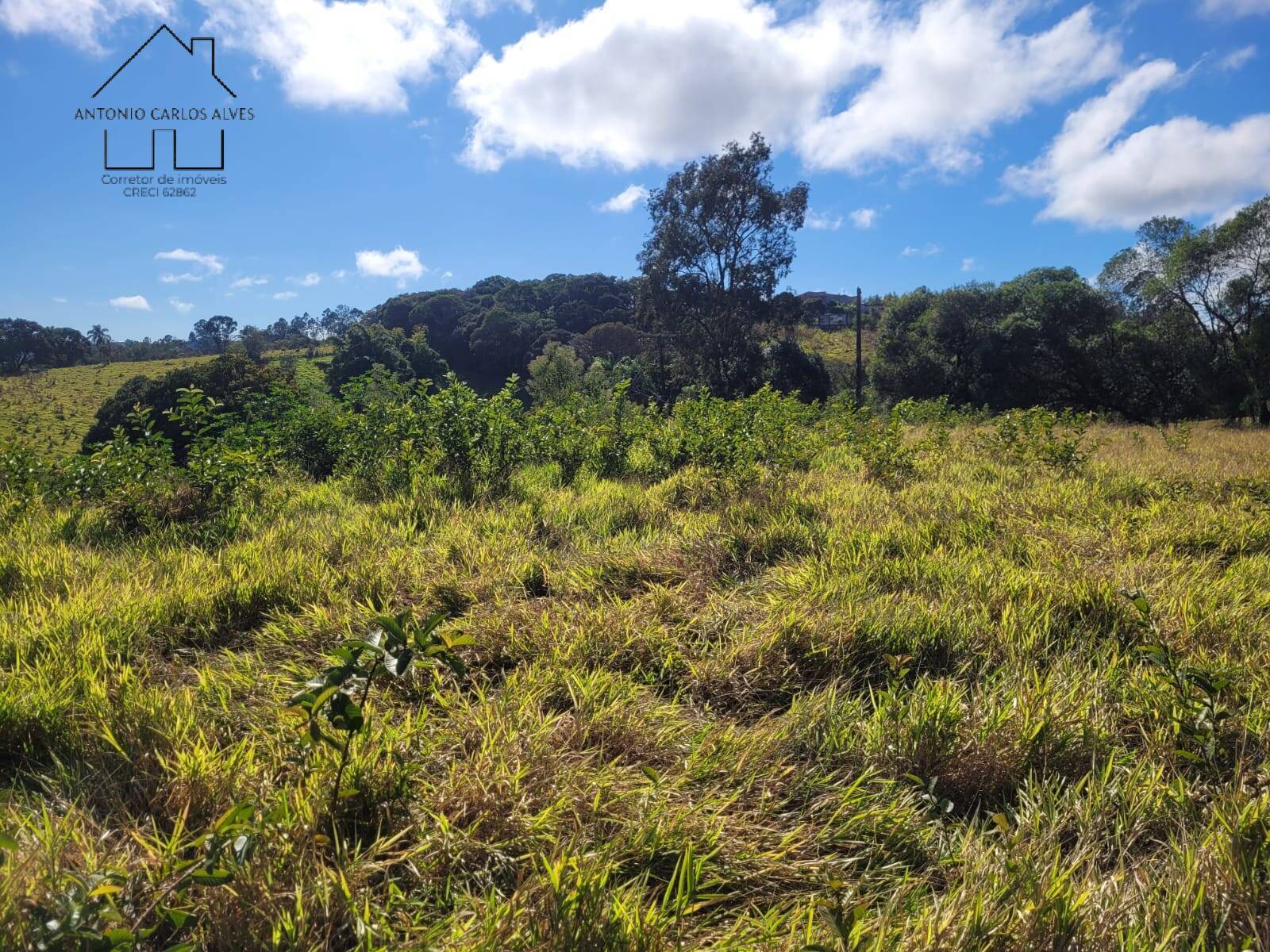 Fazenda à venda com 3 quartos, 350m² - Foto 61