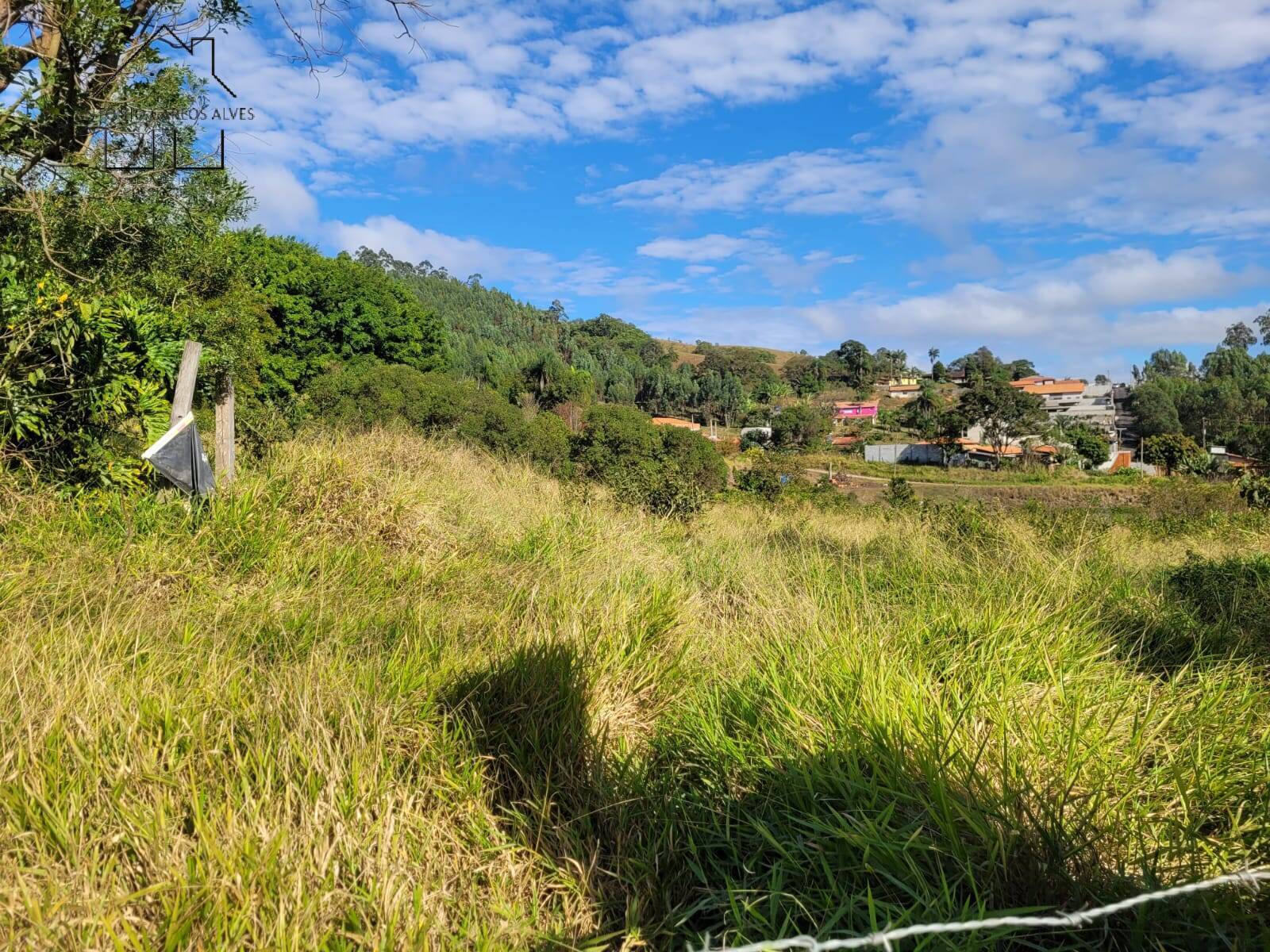 Fazenda à venda com 3 quartos, 350m² - Foto 62