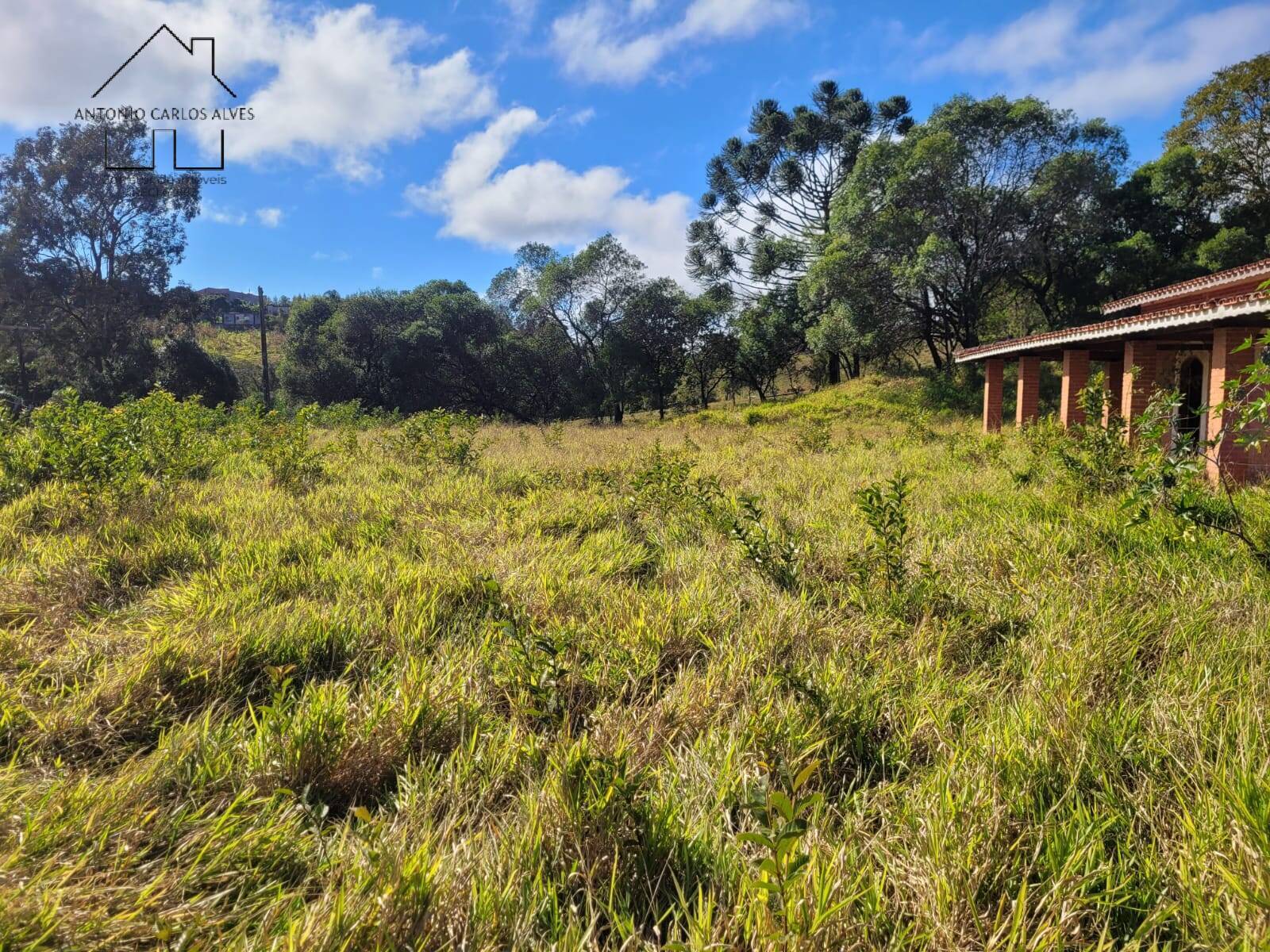 Fazenda à venda com 3 quartos, 350m² - Foto 64