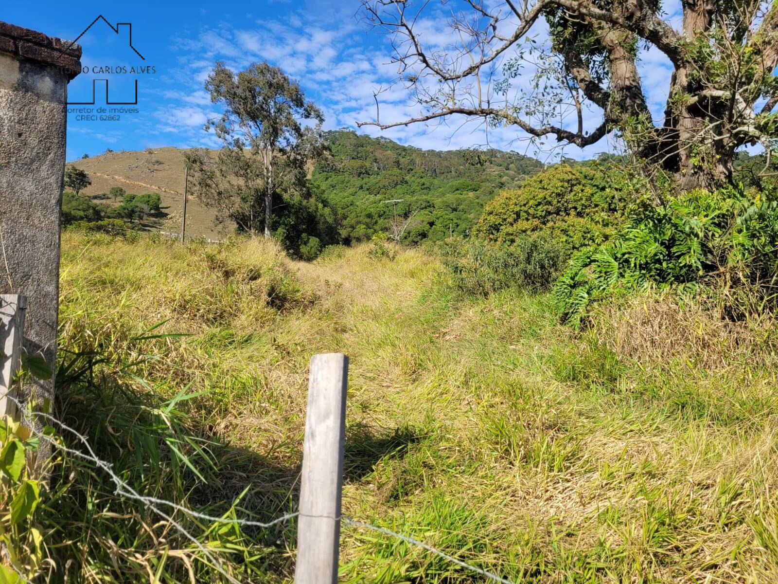 Fazenda à venda com 3 quartos, 350m² - Foto 63